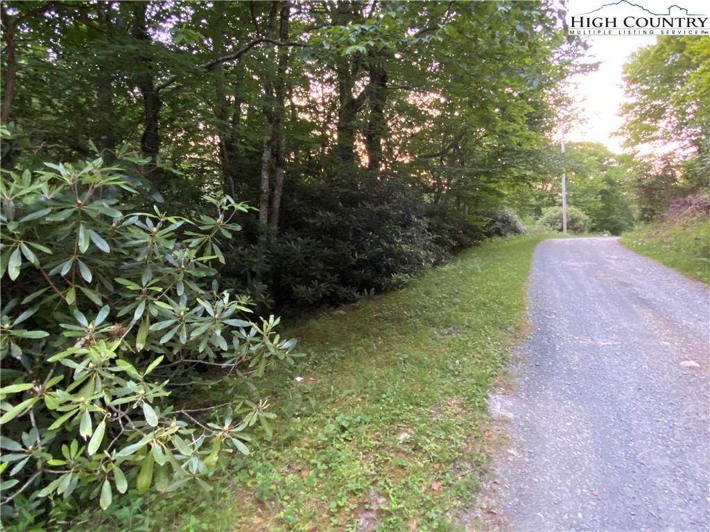 Lot 38 Snowridge Road Banner Elk, NC 28604 - Photo 3 of 6 Gallery Image 3