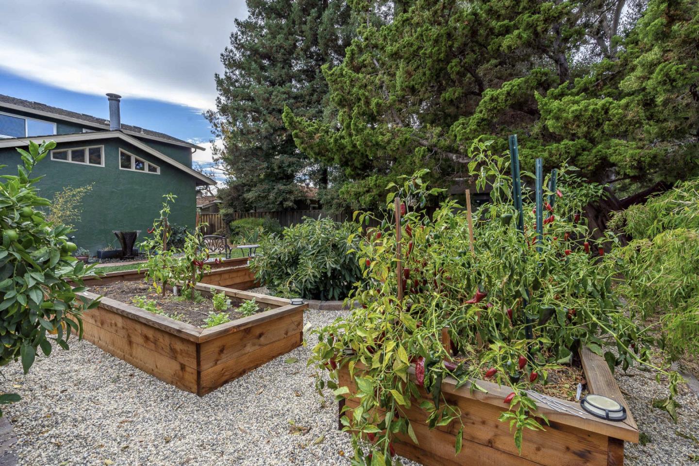 2841 Pruneridge Avenue Santa Clara, CA 95051 - Photo 48 of 53 a view of a chairs in a backyard
