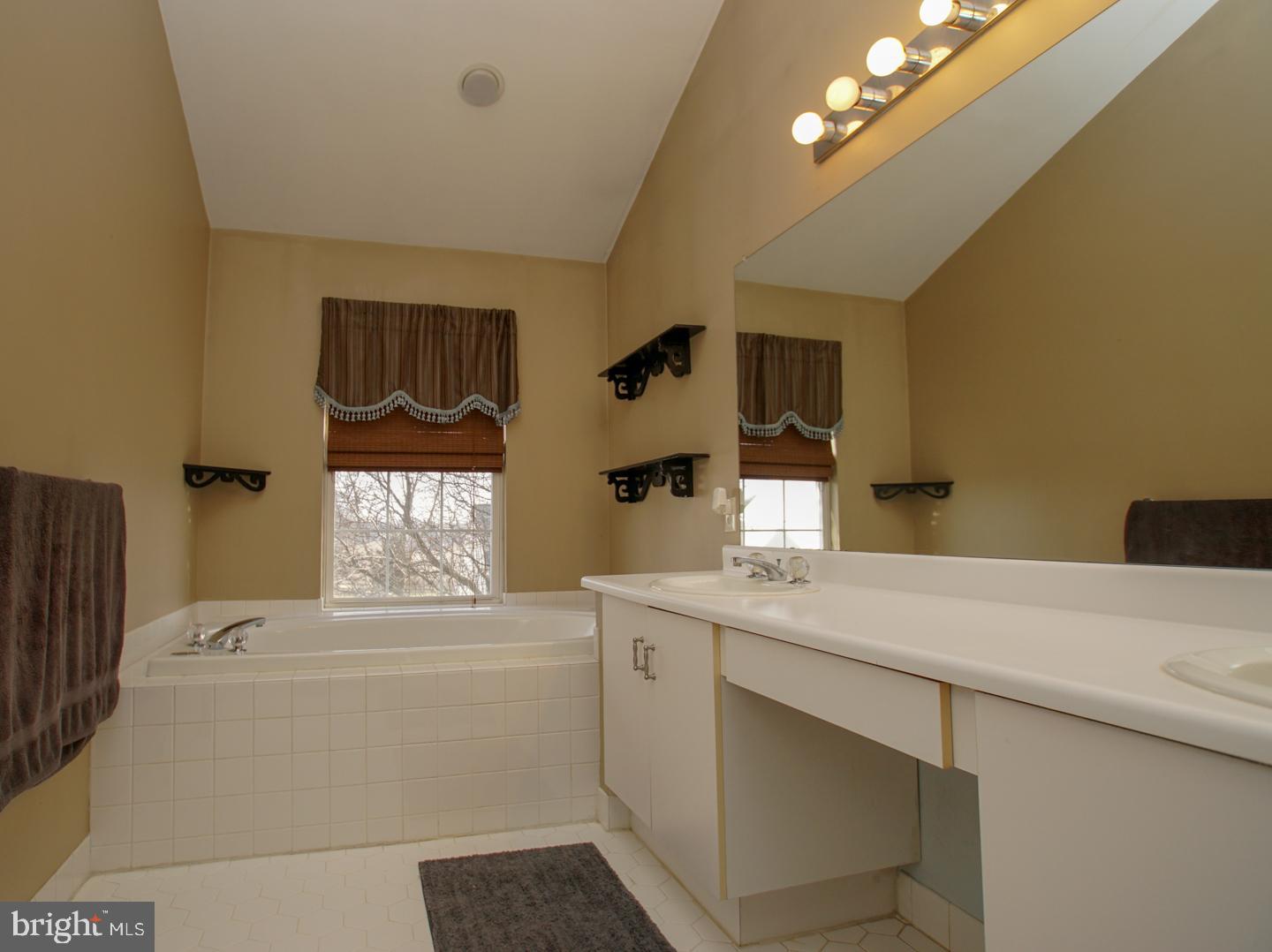 142 Raleigh Road Schwenksville, PA 19473 - Photo 26 of 36 Master Bath Jetted Tub