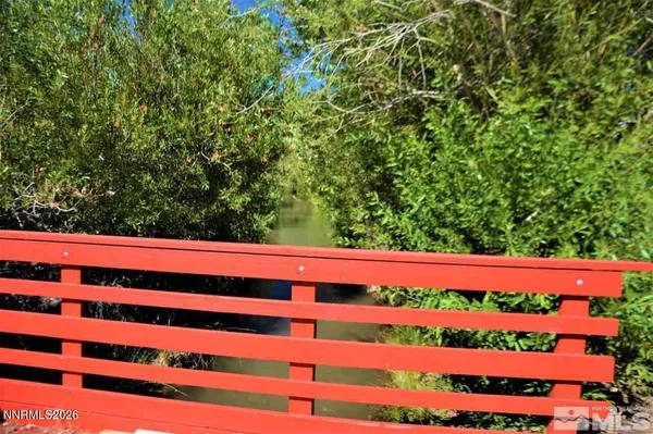a view of a large tree with an outdoor space
