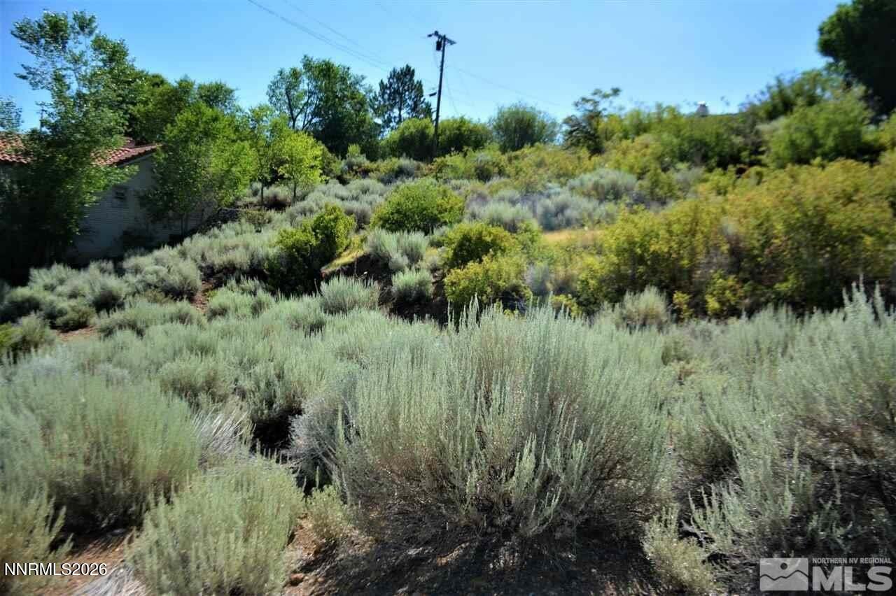 3245 Markridge Drive, Unit 9 Reno, NV 89509 - Photo 11 of 11 a view of a lush green forest