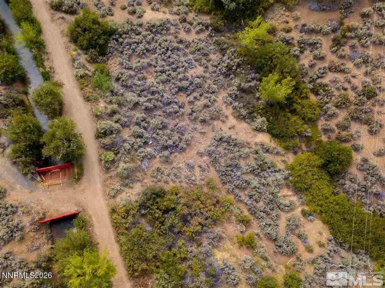 3245 Markridge Drive, Unit 9 Reno, NV 89509 - Photo 2 of 11 a view of a yard with plants and large trees