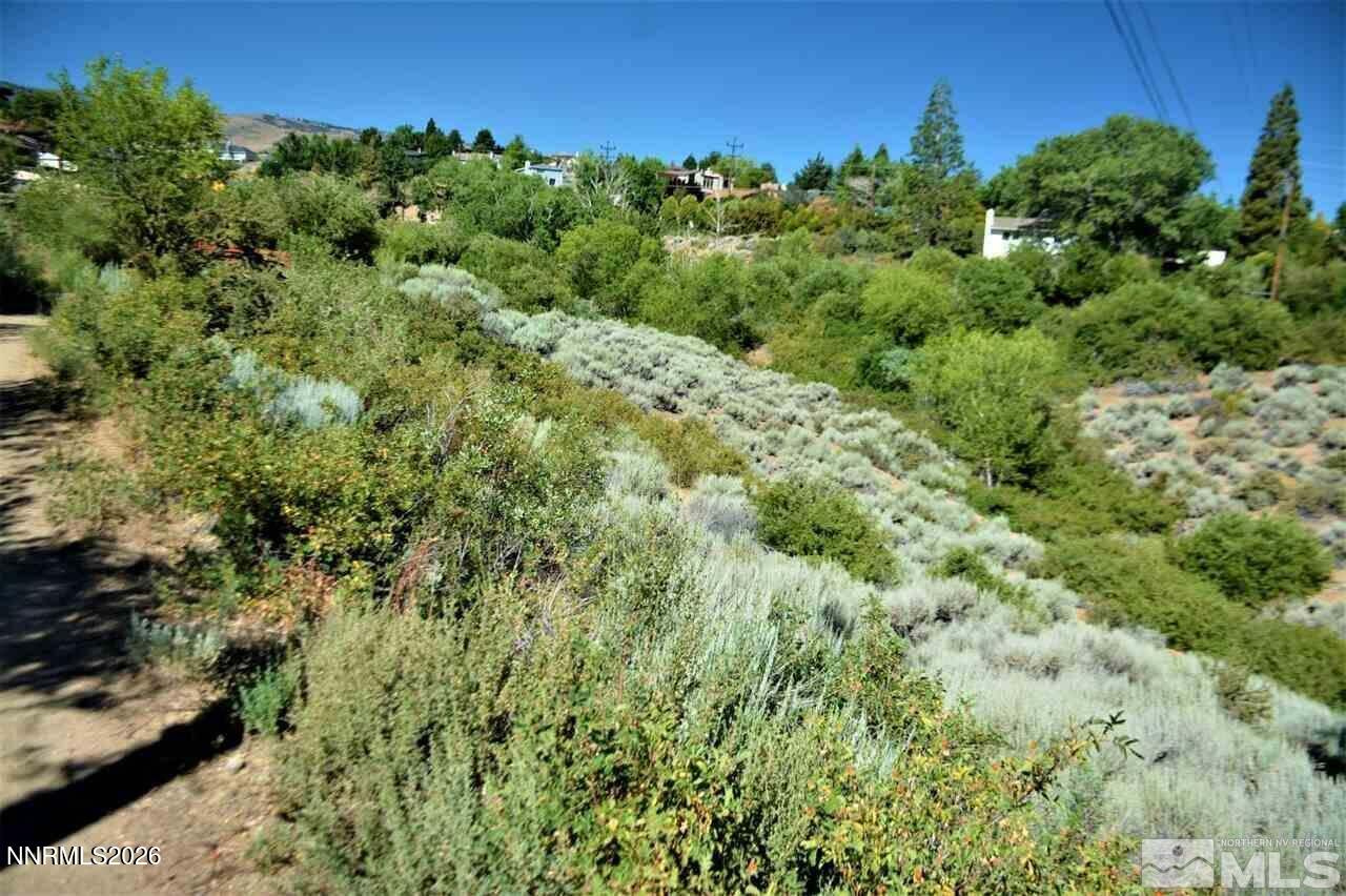 3245 Markridge Drive, Unit 9 Reno, NV 89509 - Photo 10 of 11 a view of a lush green forest with lots of trees