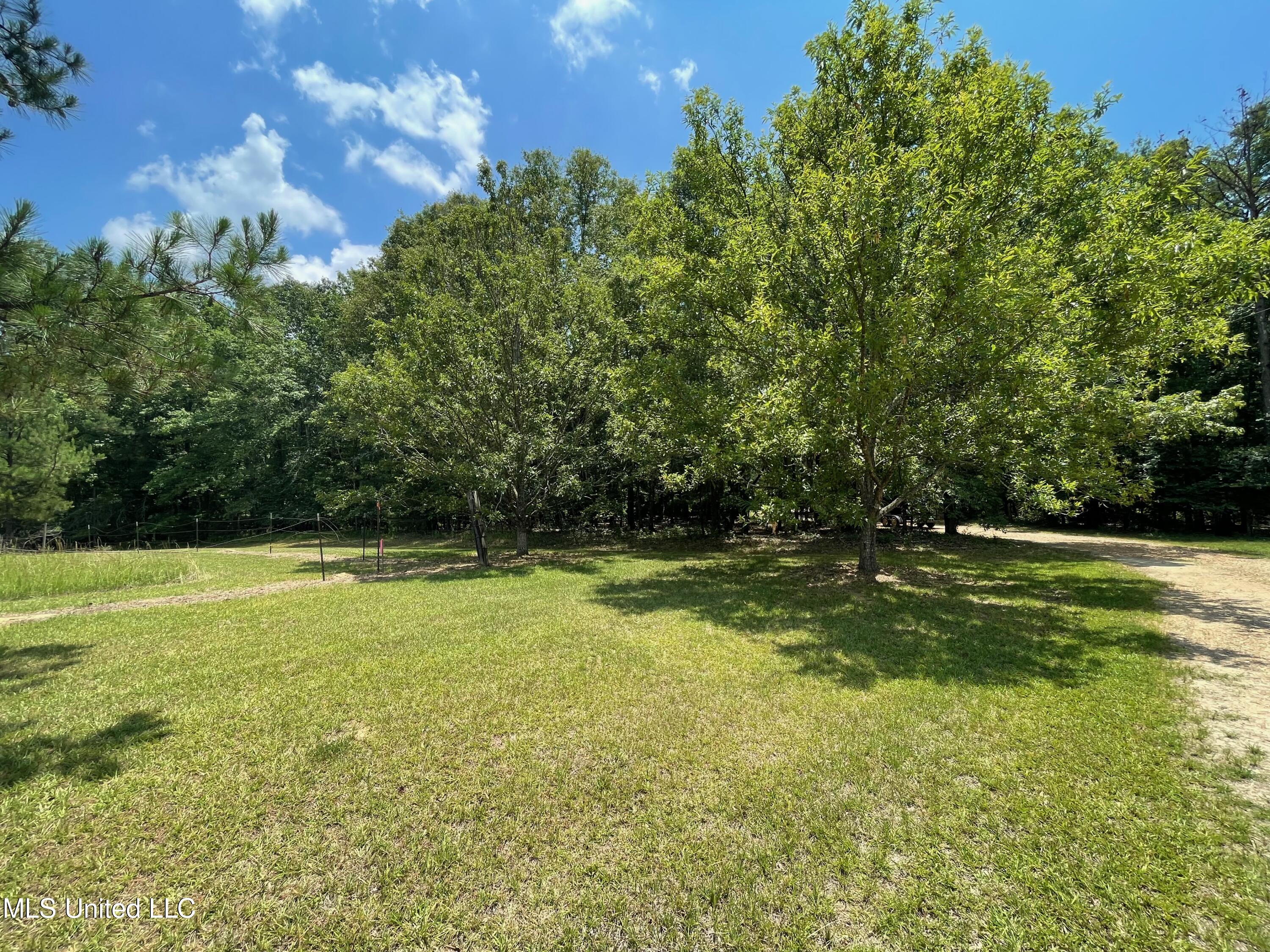 1 Stout Road Canton, MS 39046 - Photo 13 of 39 C00DC59F-C791-4006-8418-4C03A3B69F41