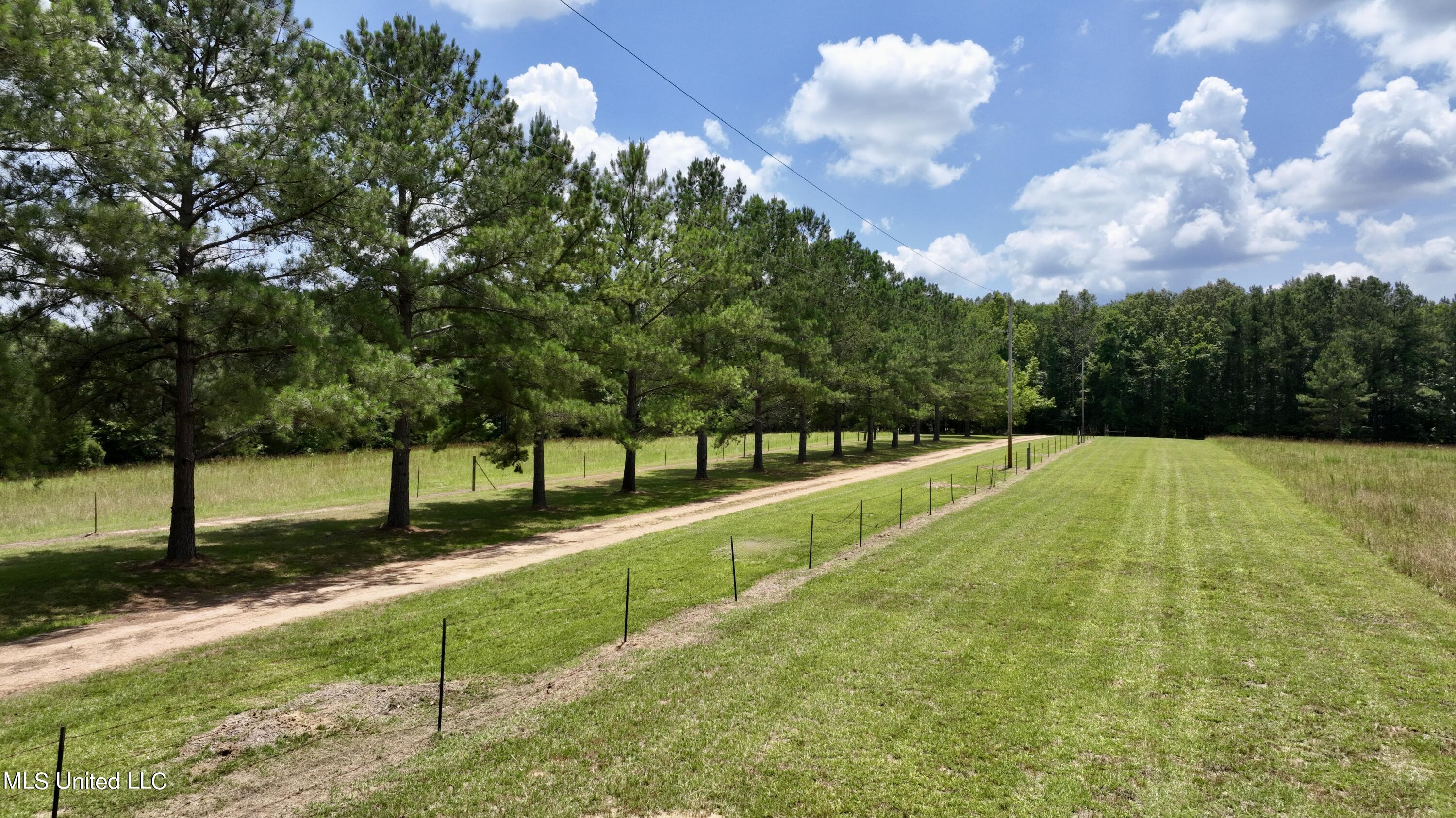 1 Stout Road Canton, MS 39046 - Photo 17 of 39 1E415806-31D9-49C1-9C76-BA1D0A30C87A