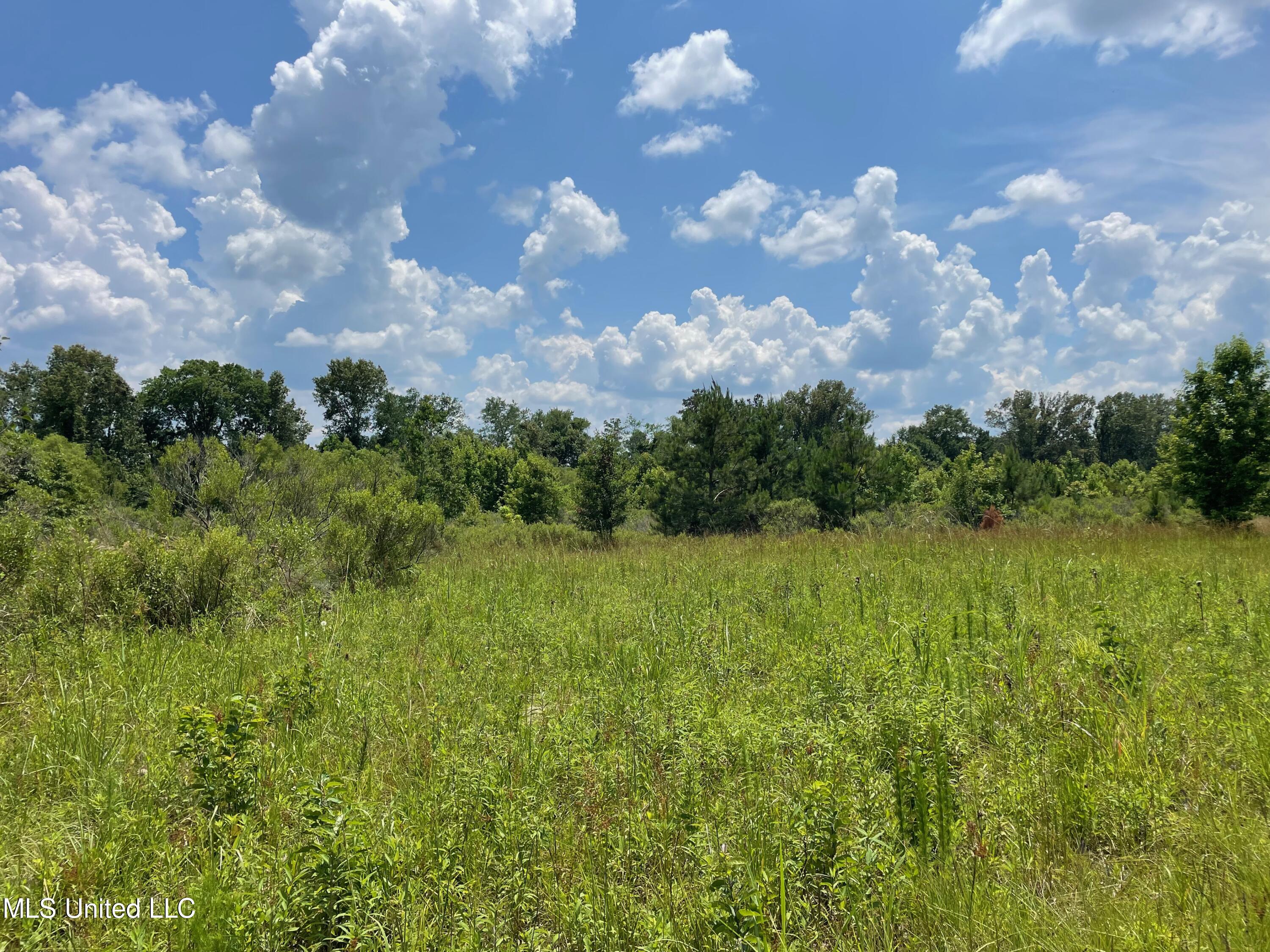 1 Stout Road Canton, MS 39046 - Photo 27 of 39 760AC2CE-FA14-4B83-9836-1196057E1E01