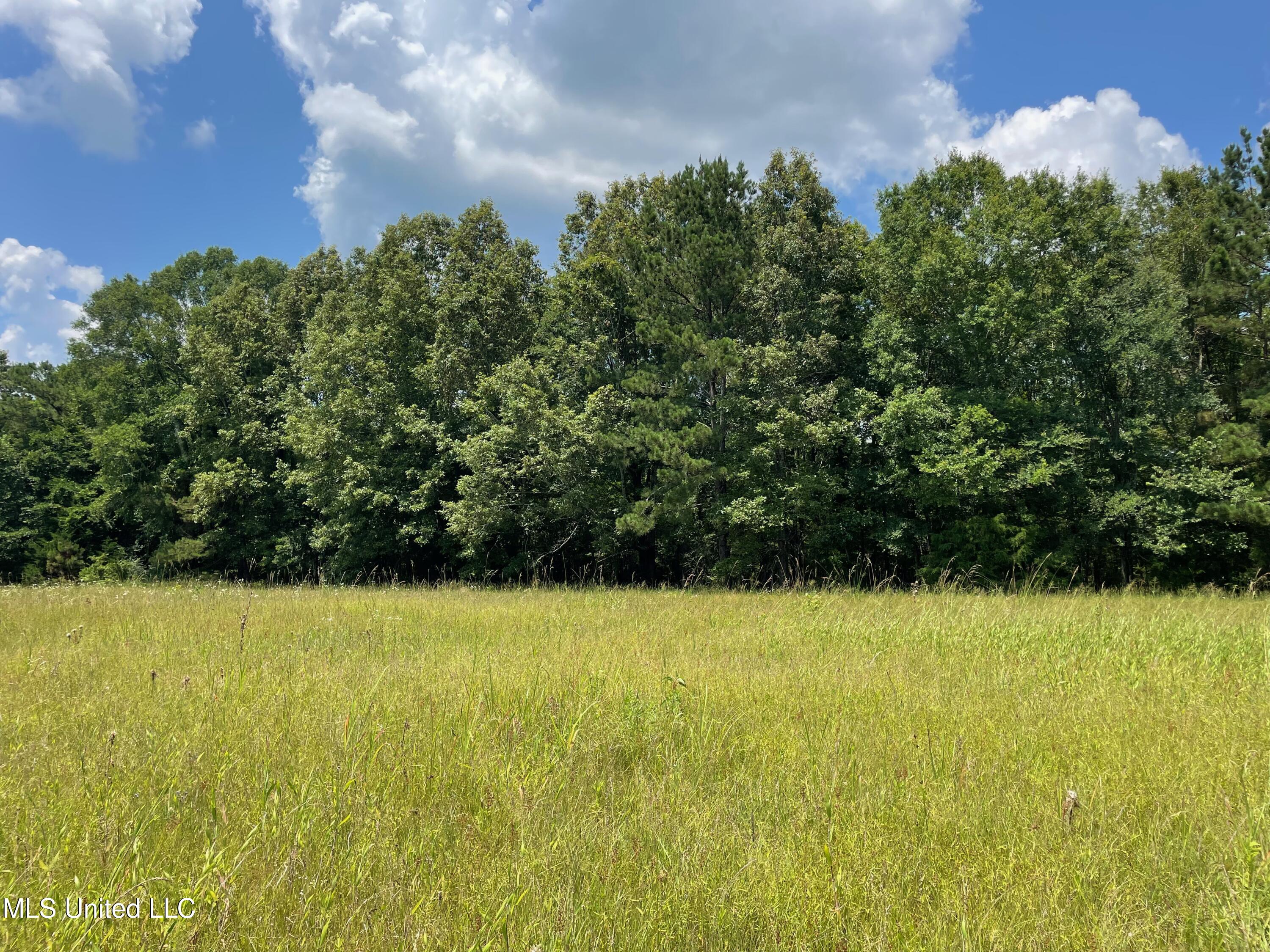 1 Stout Road Canton, MS 39046 - Photo 31 of 39 3DC54C60-93B7-4BFA-80EA-424AA9E79F66