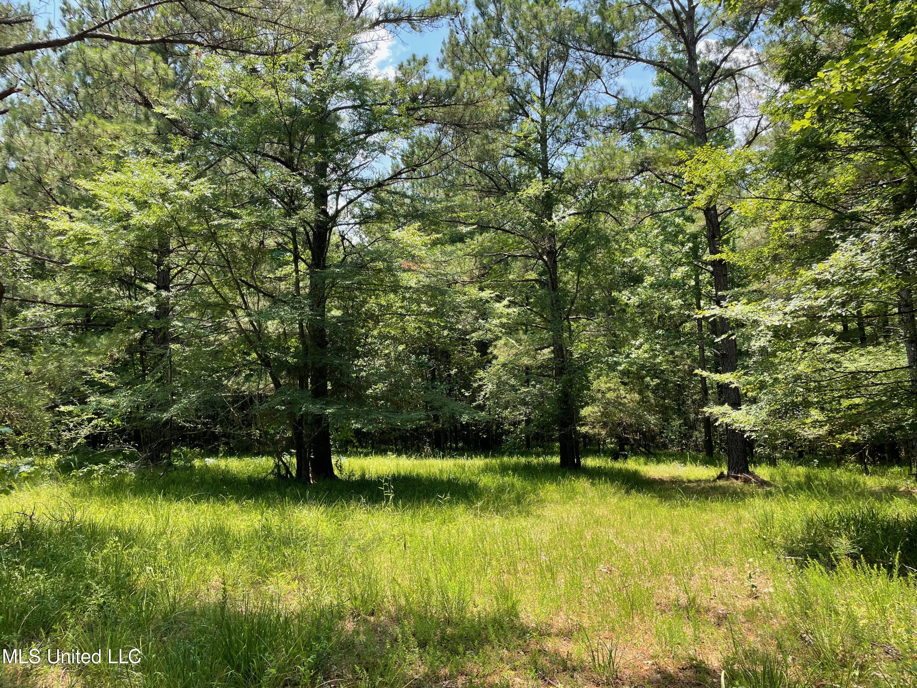1 Stout Road Canton, MS 39046 - Photo 34 of 39 015AE2A9-6435-4820-8CD5-E76881D386C1