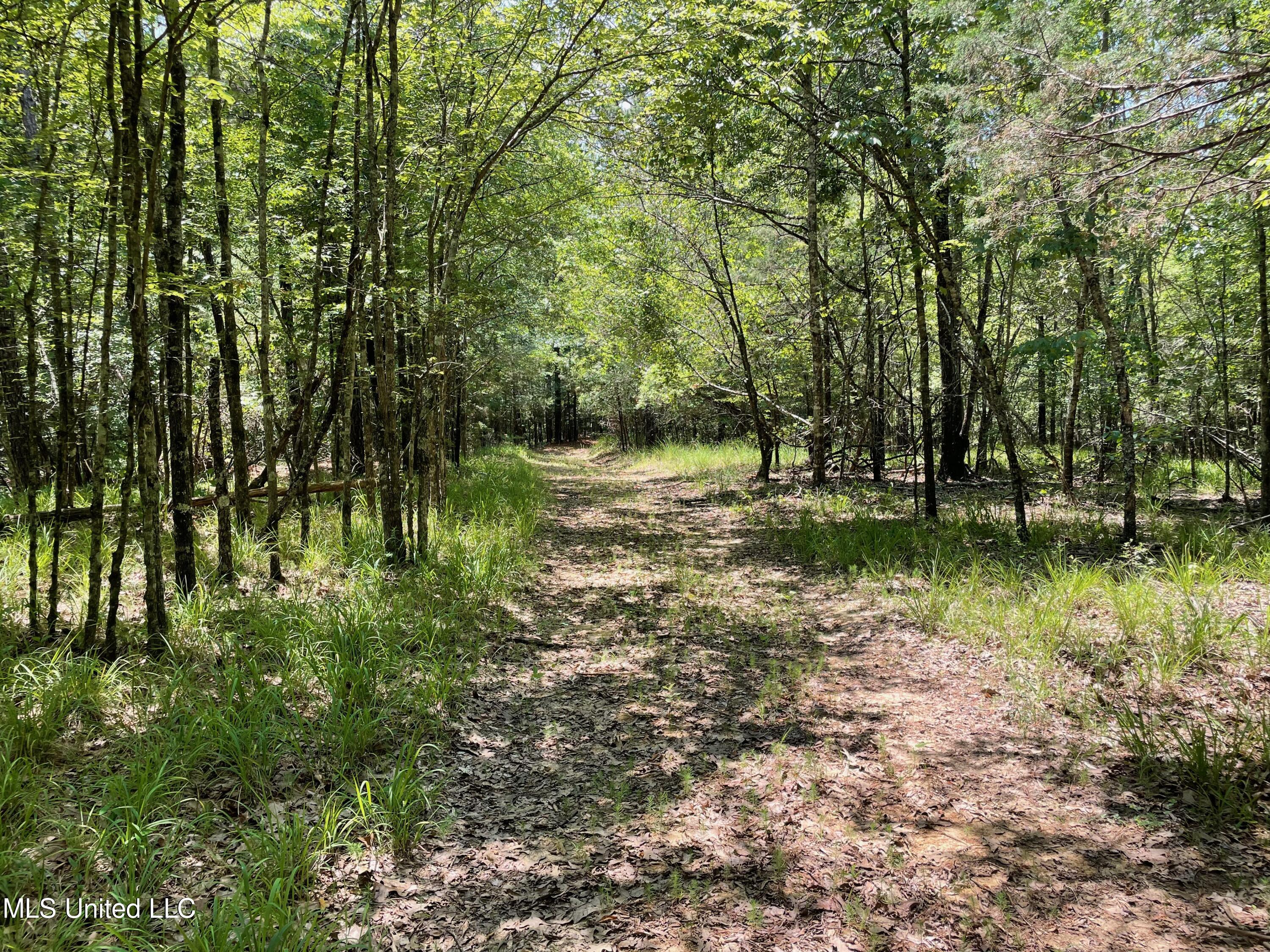 1 Stout Road Canton, MS 39046 - Photo 36 of 39 CF3042DD-6C22-4E48-82AE-2A5BB6A5EE68