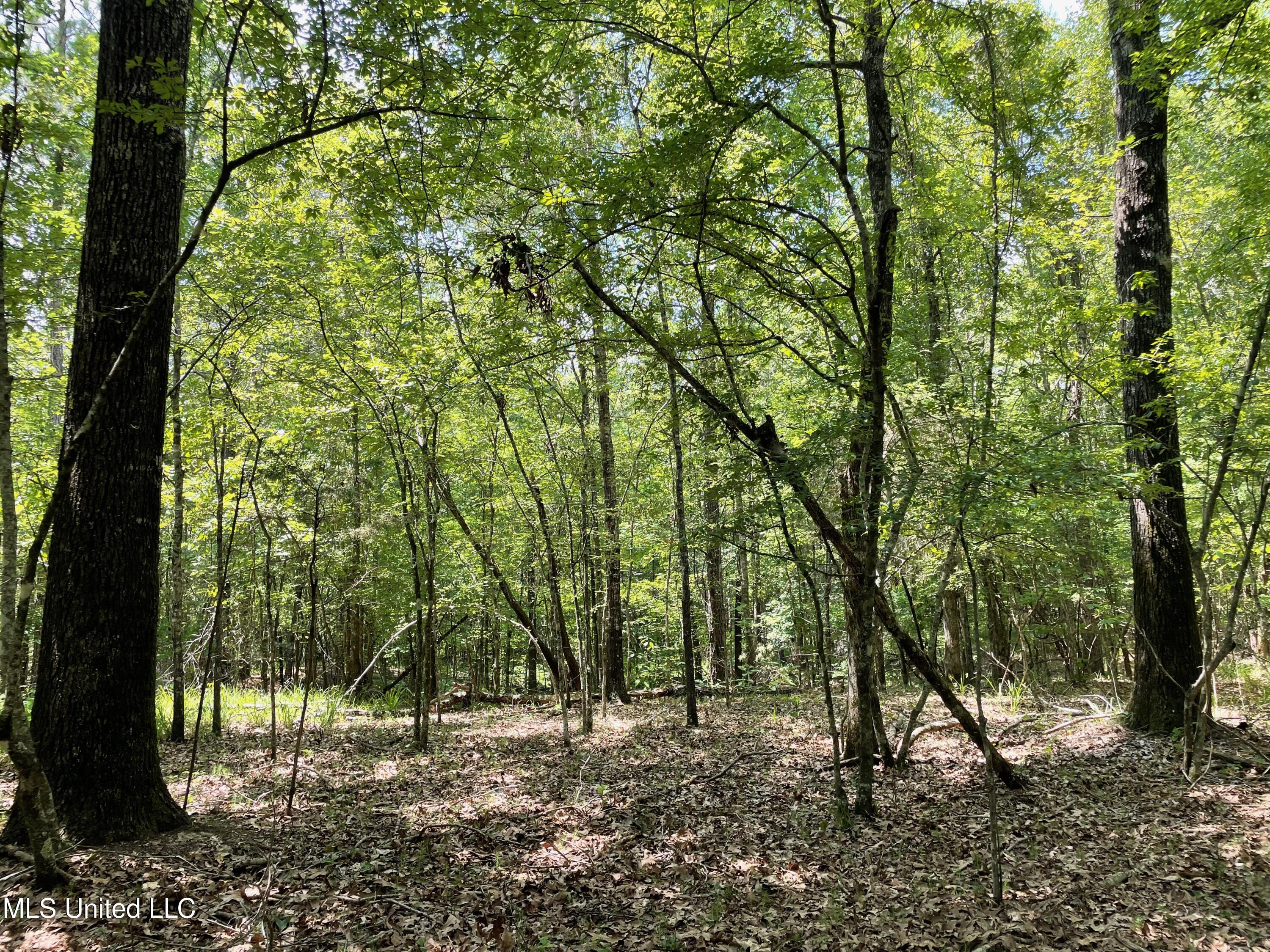 1 Stout Road Canton, MS 39046 - Photo 8 of 39 FC66882F-9006-4859-BACF-F81FA2551B03