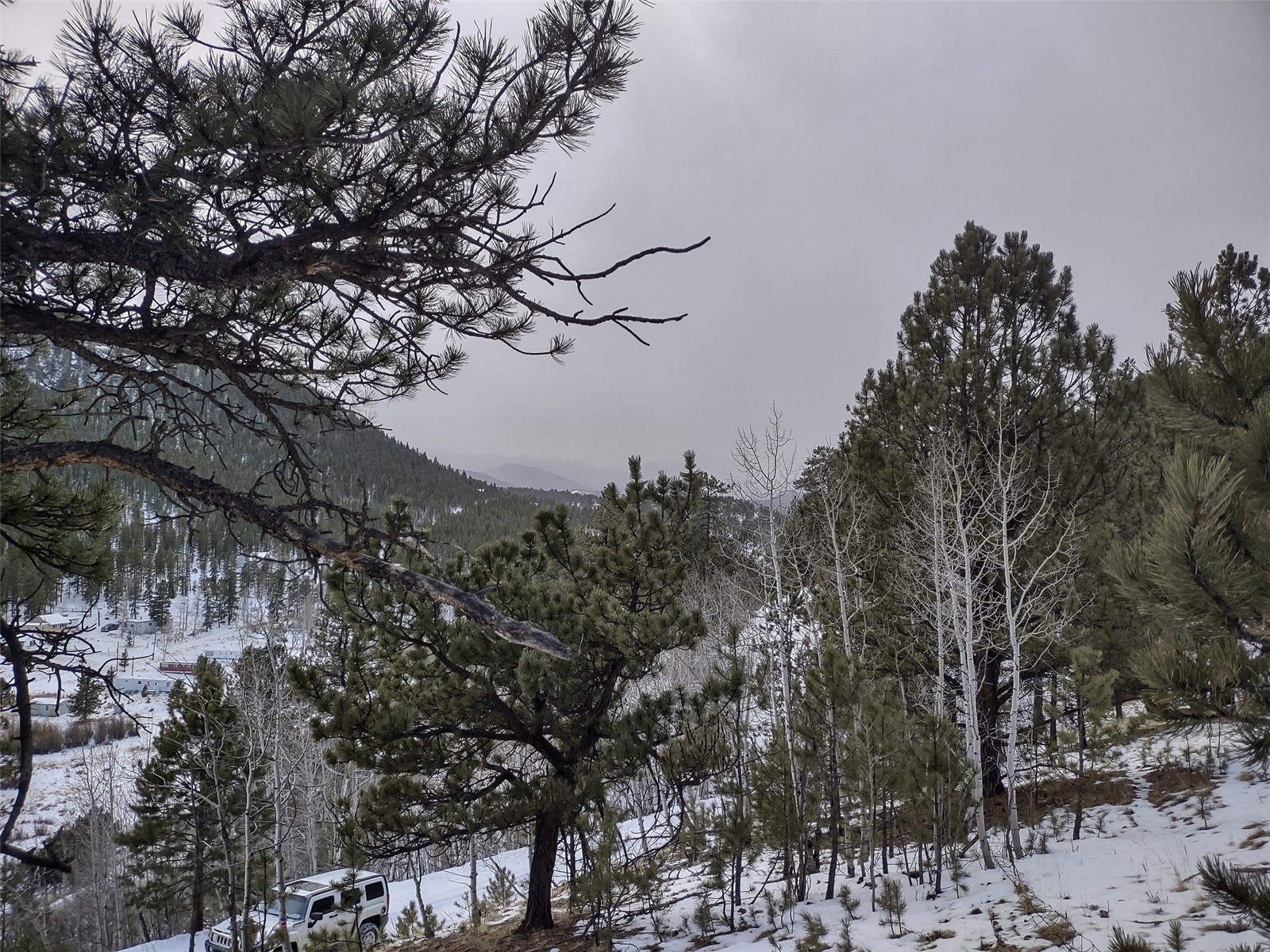 525 Gross Road Bailey, CO 80421 - Photo 9 of 13 Gallery Image 9