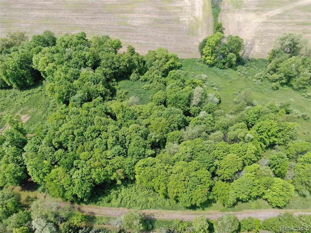 1 Faussett Road Fenton, MI 48430 - Photo 2 of 12