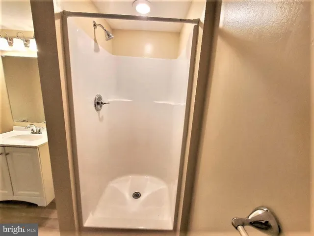 a bathroom with a shower and a sink