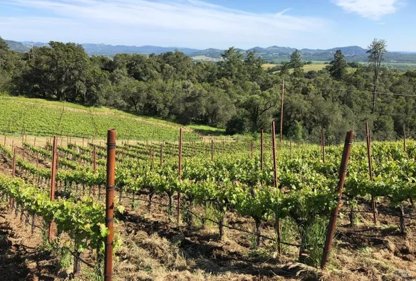$2,000,000 | 594 Artisan Circle, Geyserville, CA 95441