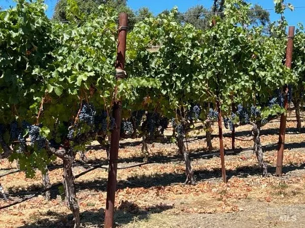 $2,000,000 | 594 Artisan Circle, Geyserville, CA 95441