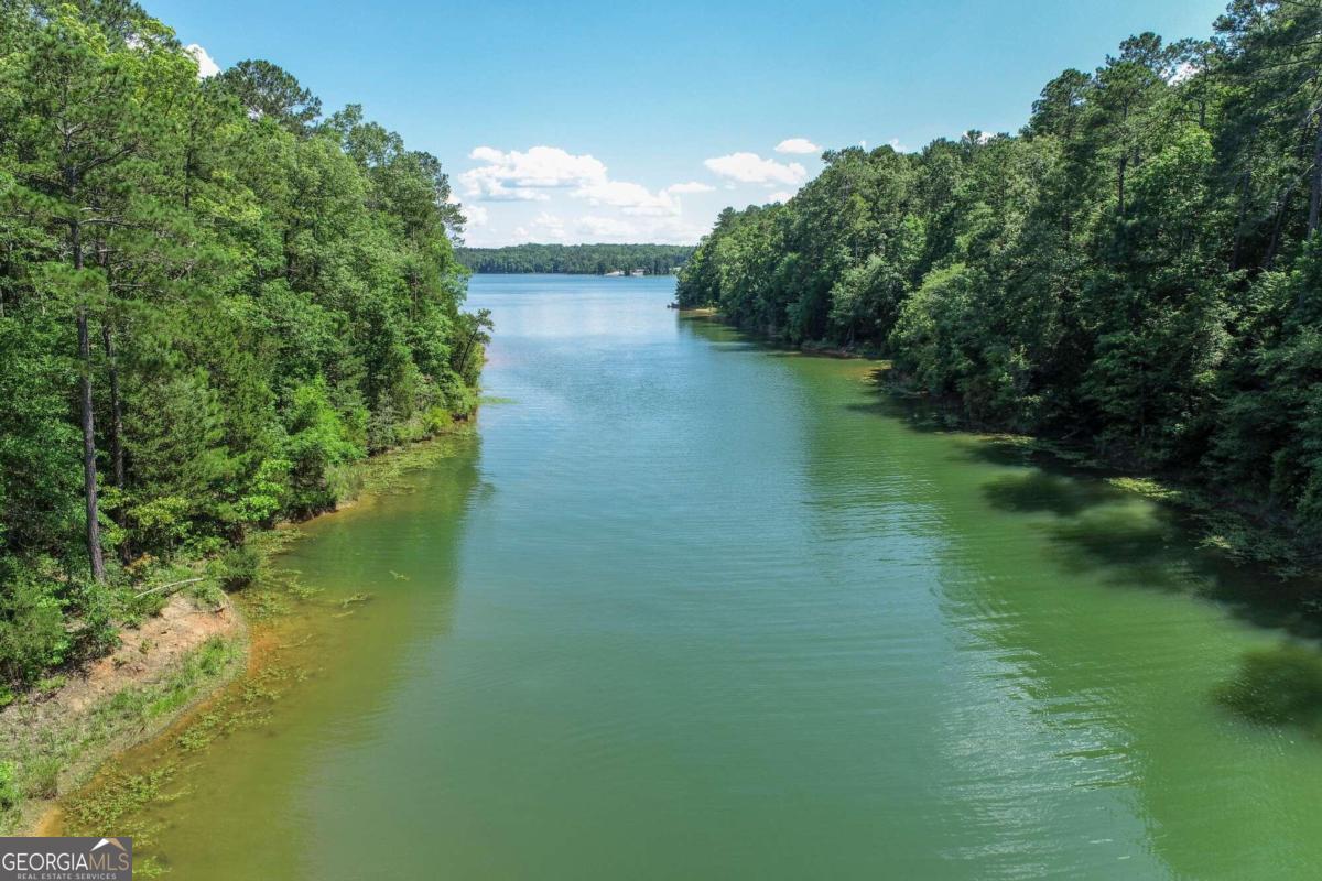 2917 Ruckersville Road Elberton, GA 30635 - Photo 11 of 17 a view of a lake with a yard