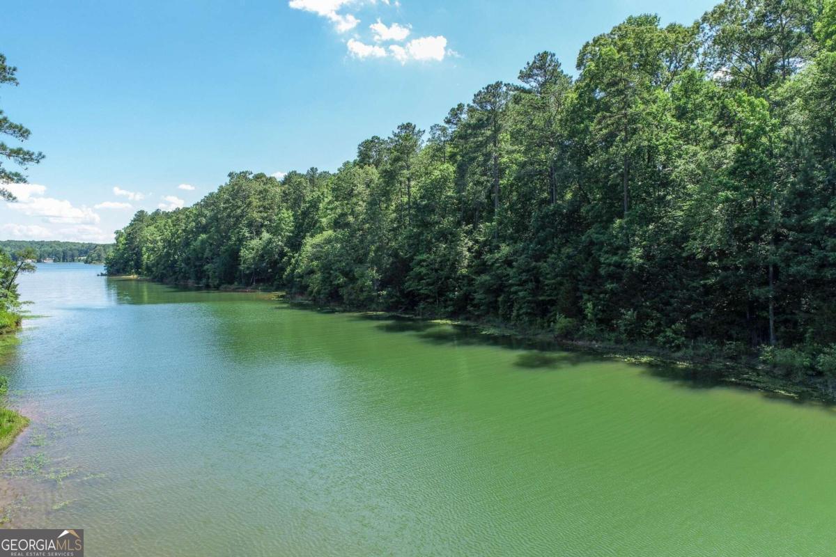 2917 Ruckersville Road Elberton, GA 30635 - Photo 12 of 17 a view of a golf course with a lake