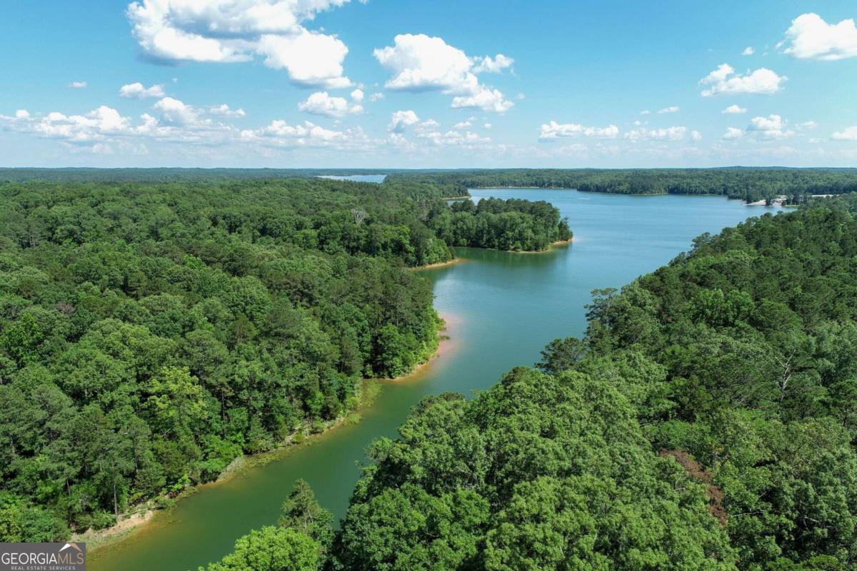 2917 Ruckersville Road Elberton, GA 30635 - Photo 13 of 17 a view of a lake with a city
