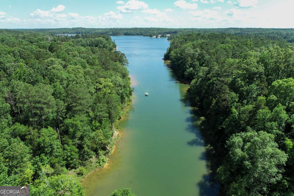 2917 Ruckersville Road Elberton, GA 30635 - Photo 4 of 17 a view of a lake with a yard
