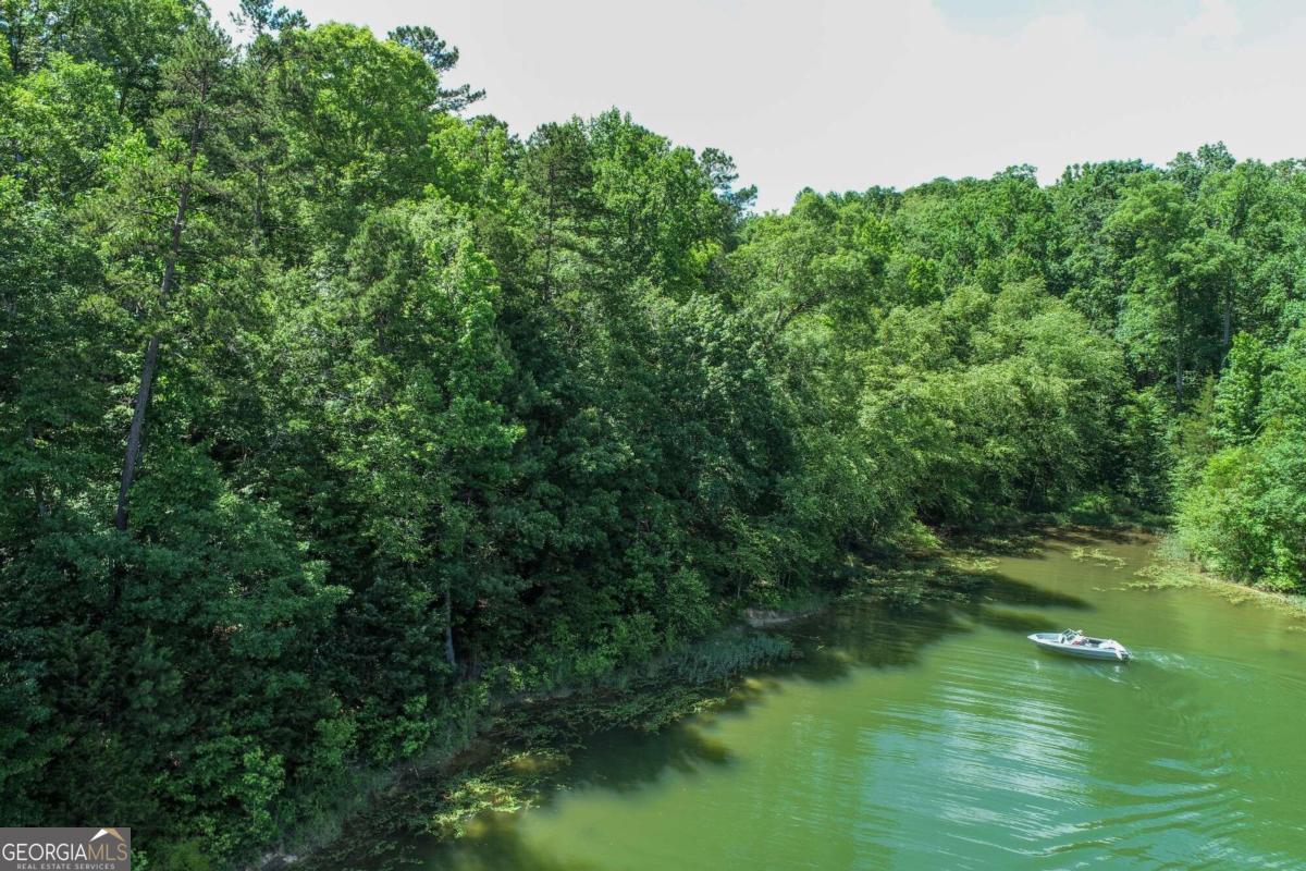 2917 Ruckersville Road Elberton, GA 30635 - Photo 5 of 17 a view of a lush green forest with a houses