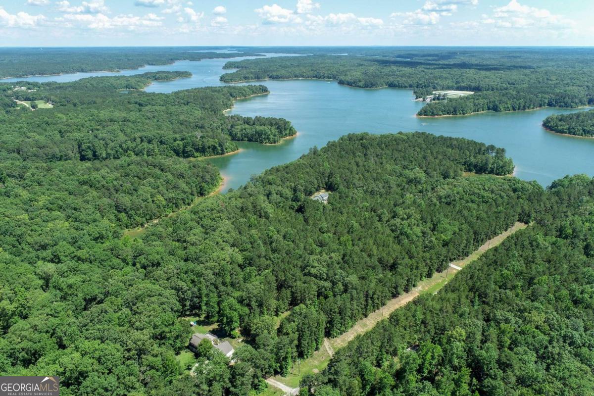 2917 Ruckersville Road Elberton, GA 30635 - Photo 6 of 17 a view of a lake in middle of forest