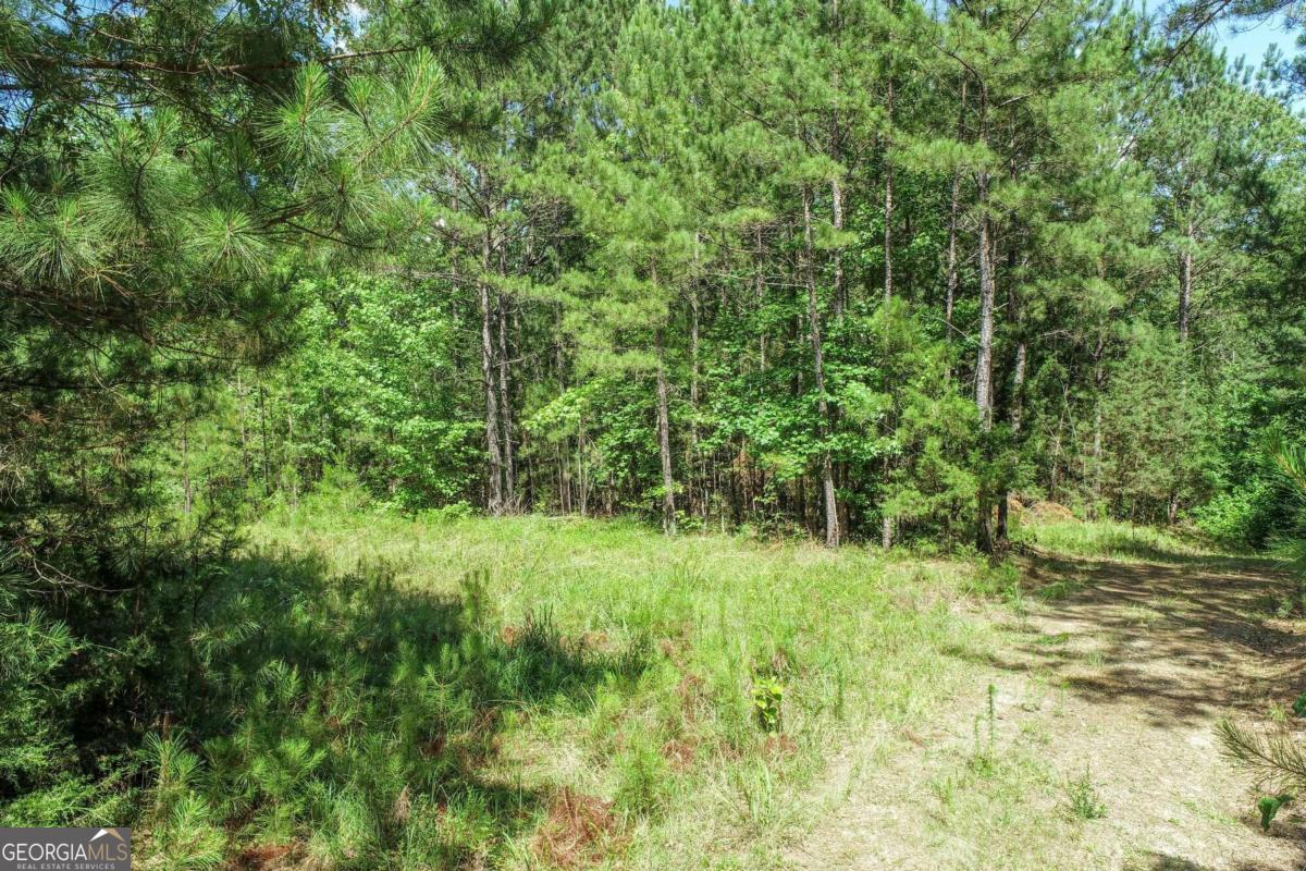 2917 Ruckersville Road Elberton, GA 30635 - Photo 7 of 17 a view of a lush green space