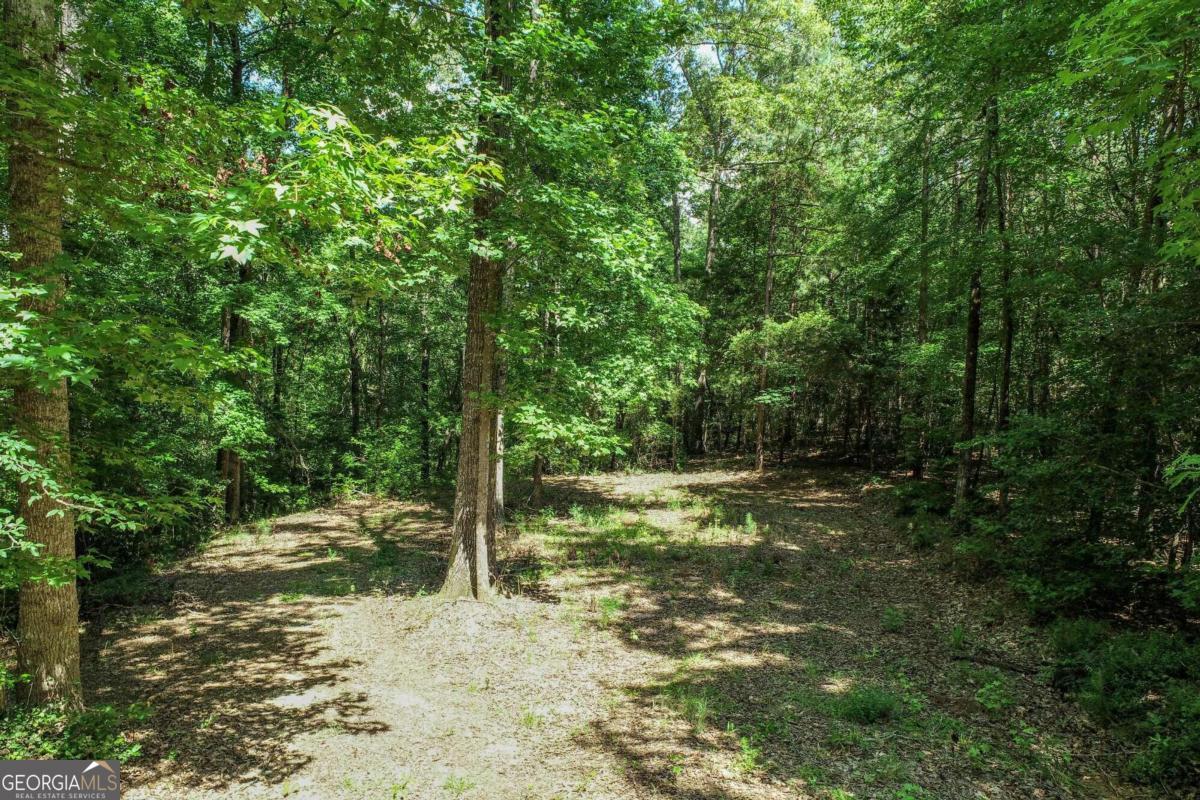 2917 Ruckersville Road Elberton, GA 30635 - Photo 8 of 17 a view of a yard with a tree