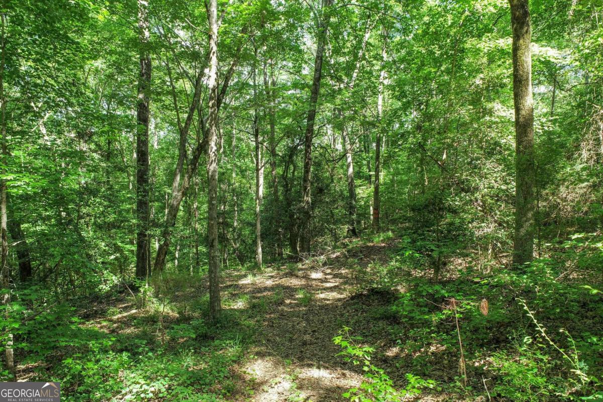 2917 Ruckersville Road Elberton, GA 30635 - Photo 10 of 17 a view of a lush green forest
