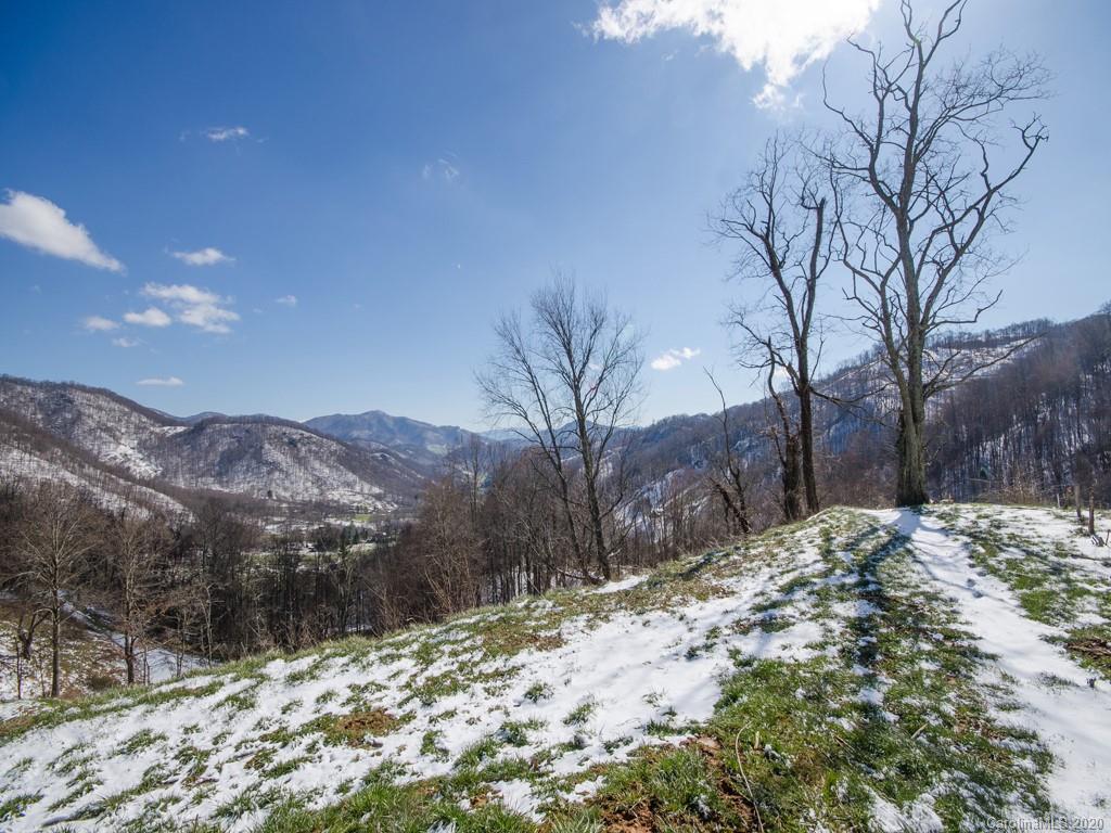 5260 Max Patch Road Clyde, NC 28721 - Photo 11 of 15 Gallery Image 11