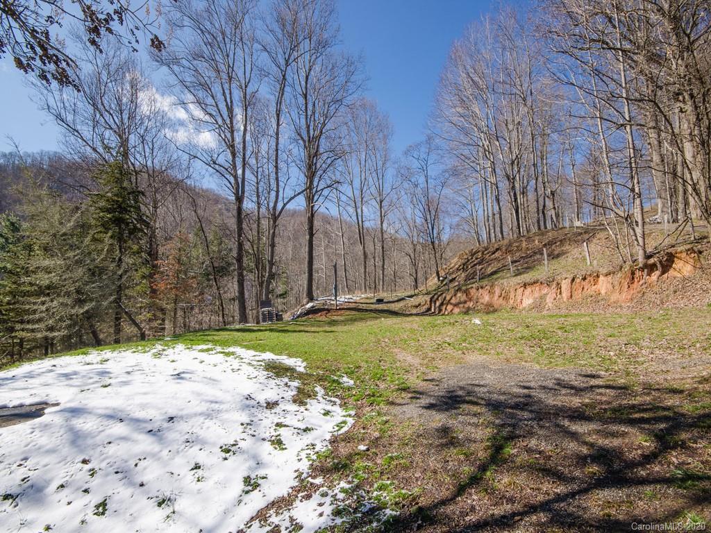 5260 Max Patch Road Clyde, NC 28721 - Photo 14 of 15 Gallery Image 14