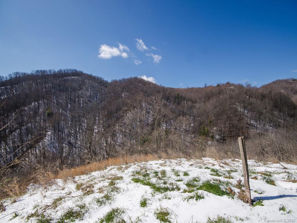 5260 Max Patch Road Clyde, NC 28721 - Photo 7 of 15 Gallery Image 7