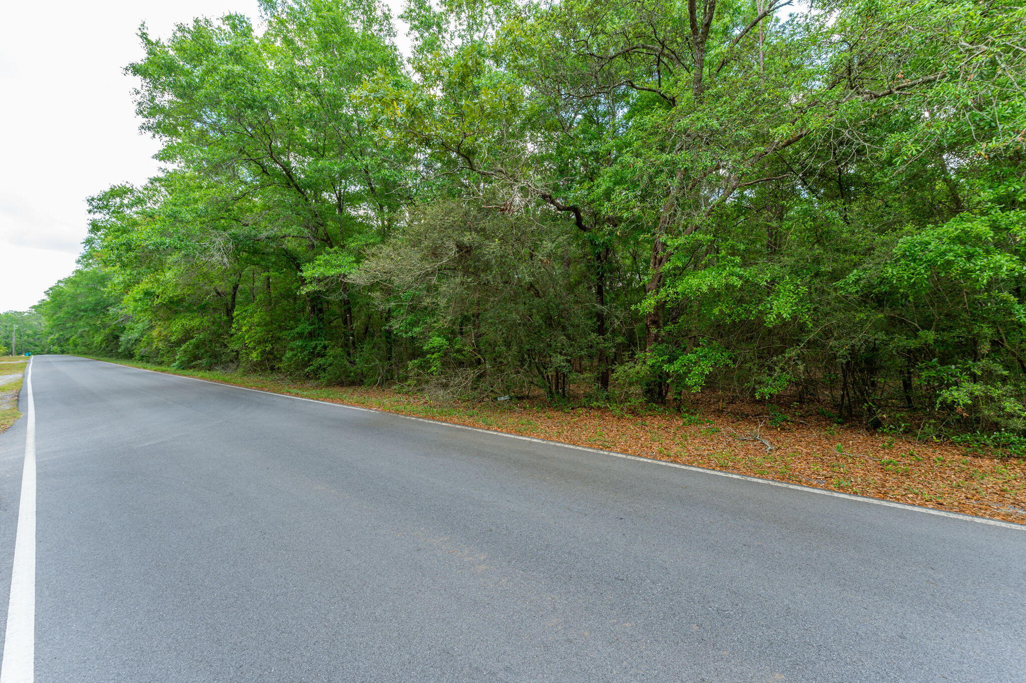 5.31-ac Xx John Nix Road Crestview, FL 32539 - Photo 3 of 17 1000033753
