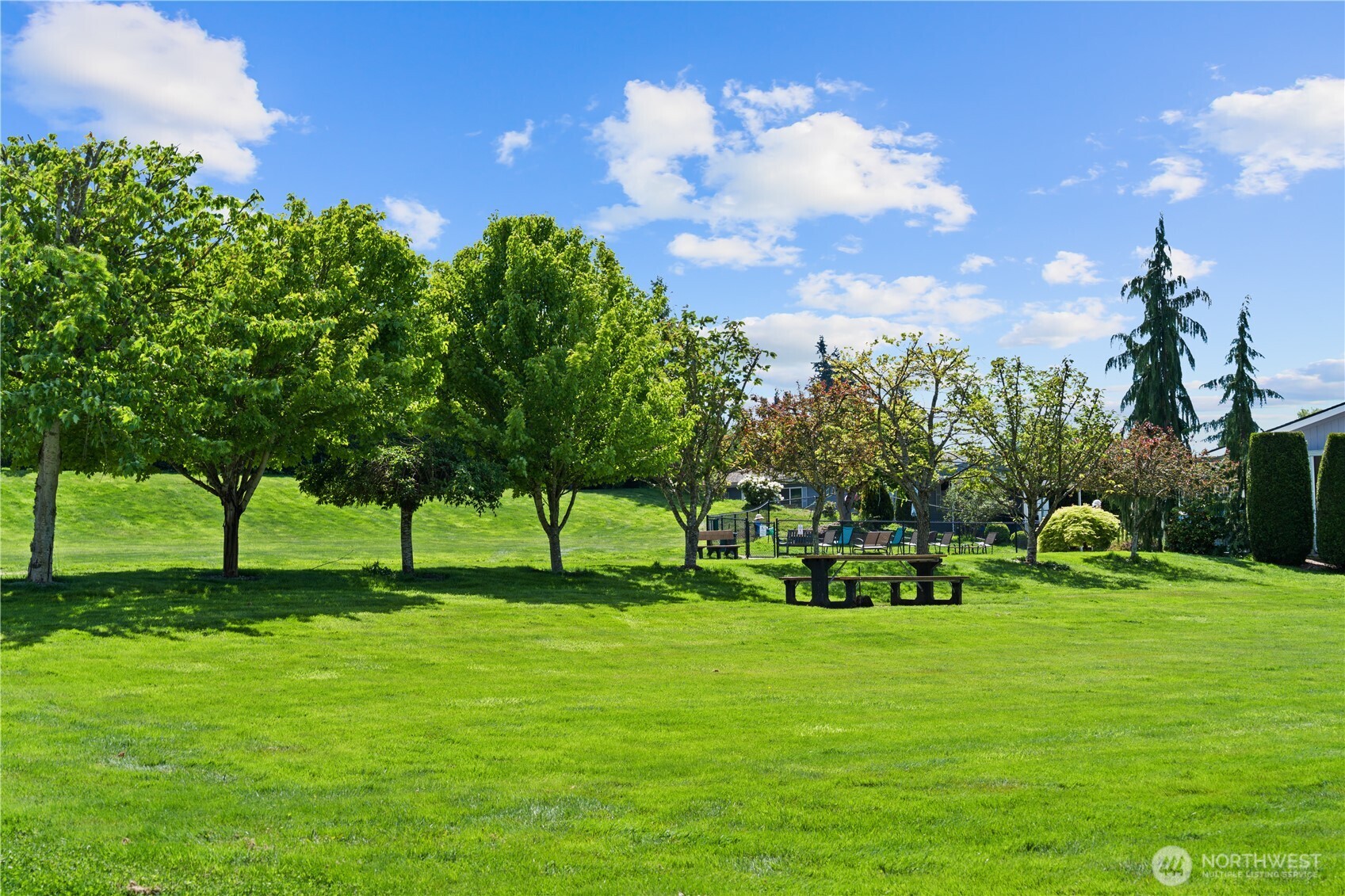 23825 15th Avenue Southeast, Unit 108 Bothell, WA 98021 - Photo 36 of 39 a view of field with grass and trees