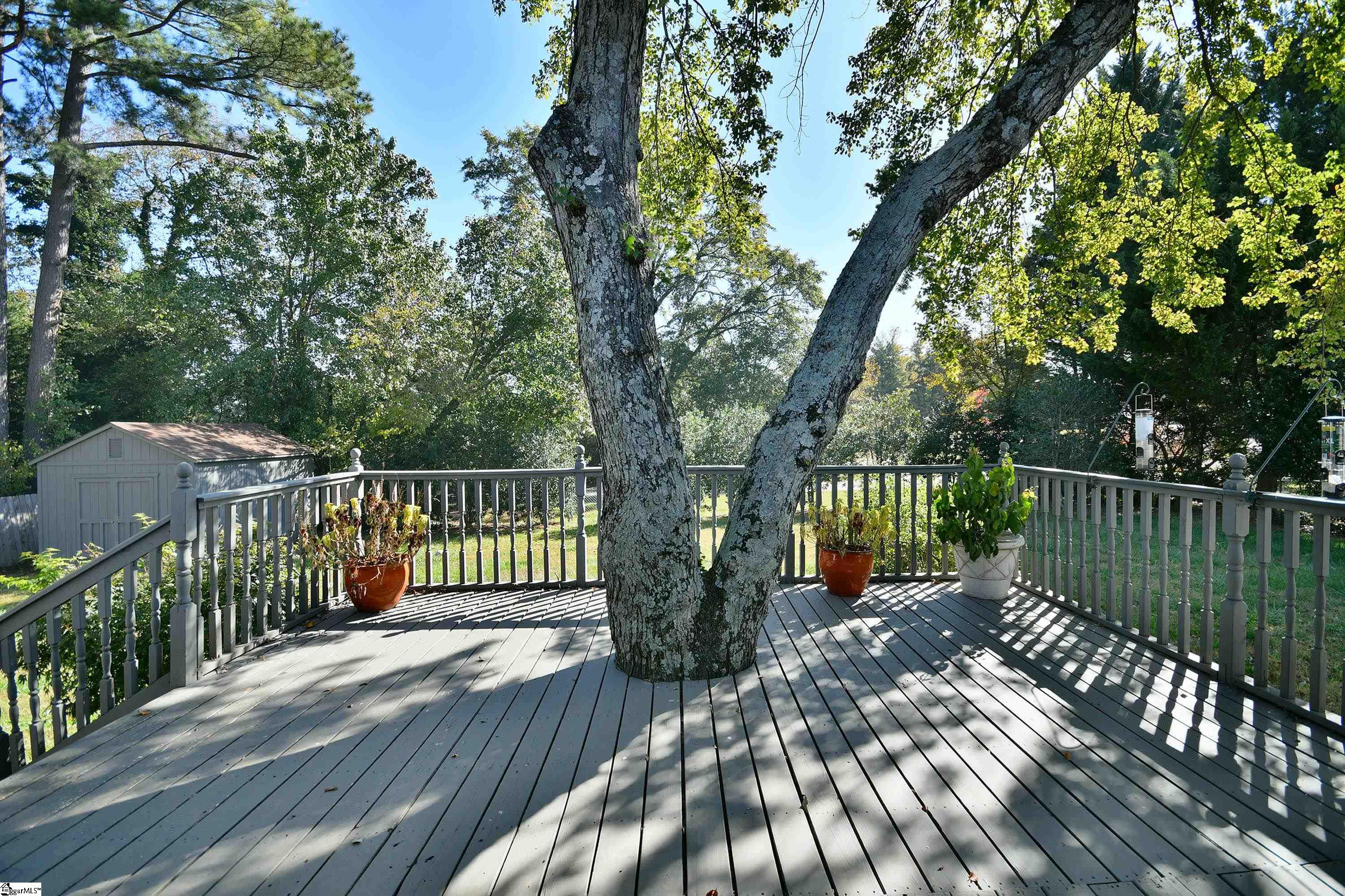 504 Butler Springs Road Greenville, SC 29615 - Photo 41 of 45 Gallery Image 41
