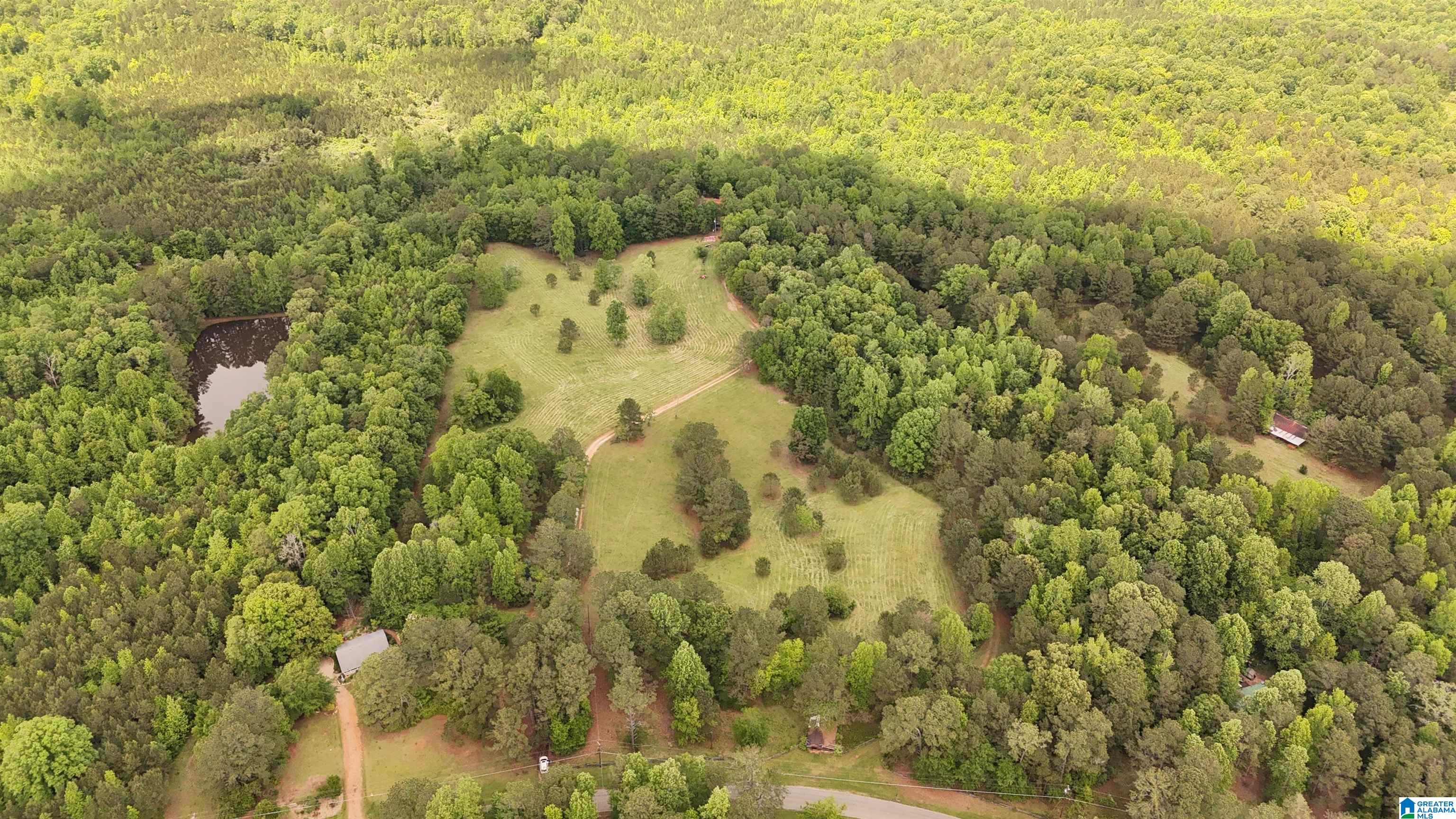 2488 Louina Road Roanoke, AL 36274 - Photo 6 of 97