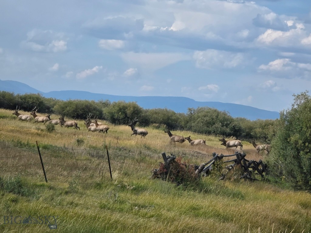 2000 Rock Creek Road Wisdom, MT 59761 - Photo 24 of 26 Gallery Image 24