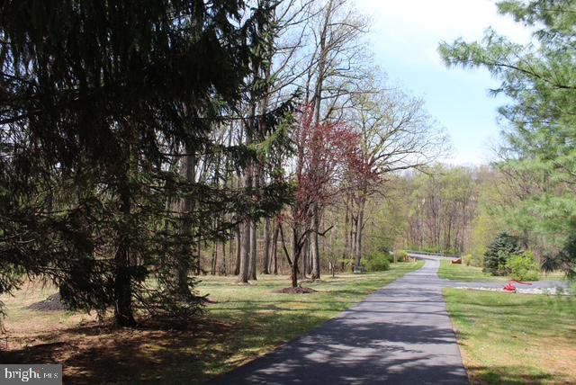 4036 Roop Road New Windsor, MD 21776 - Photo 1 of 8 Tree lined driveway to the house