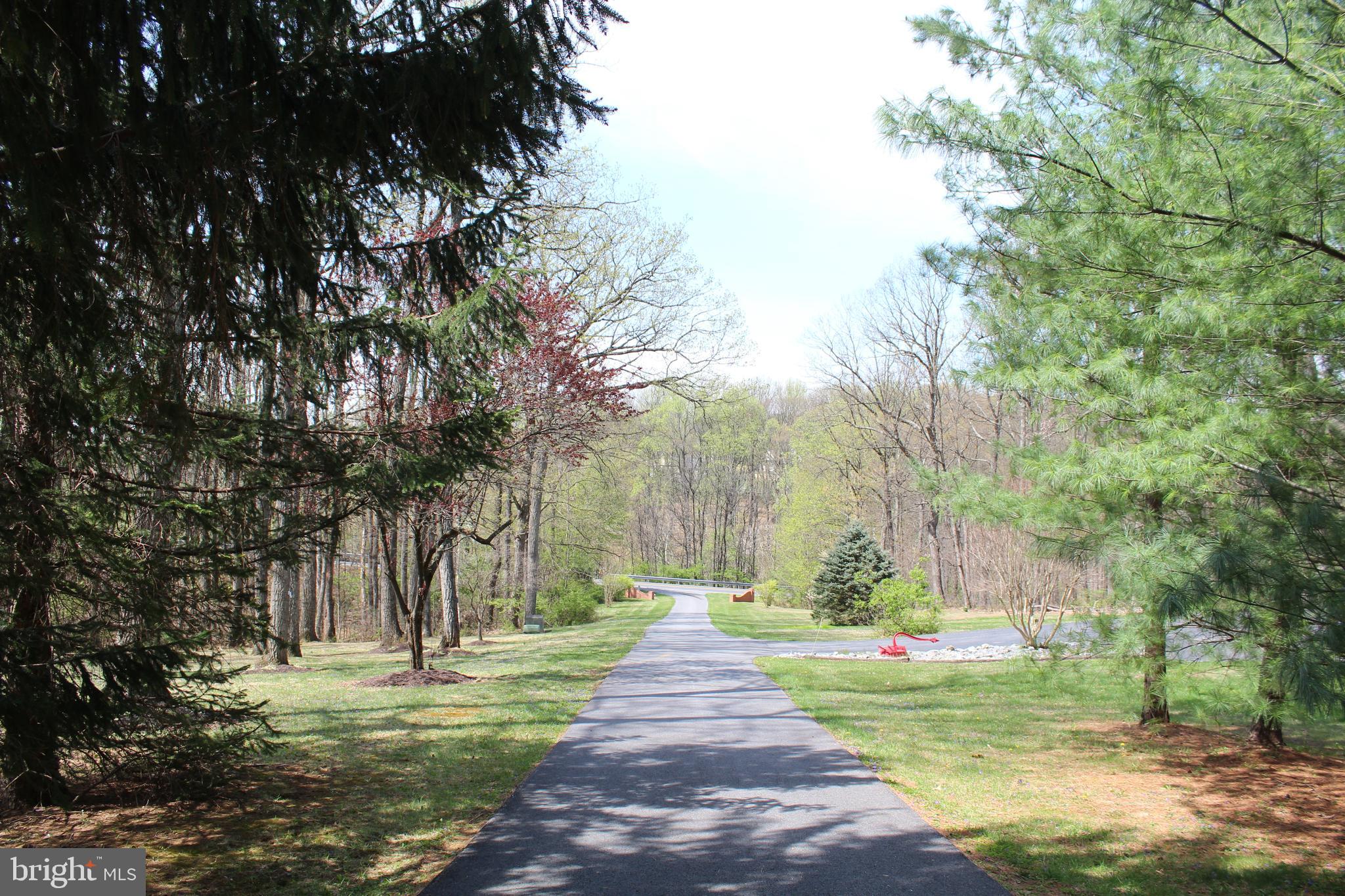 4036 Roop Road New Windsor, MD 21776 - Photo 8 of 8 Driveway View