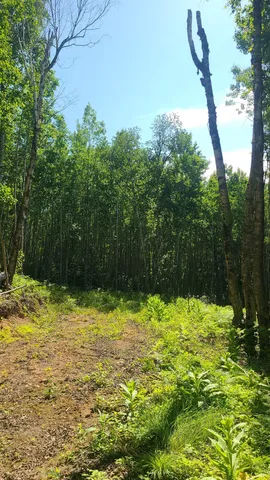 $33,000 | Tri-lakes Rd Oakland Wi 54880 Road, South Range, WI 54874