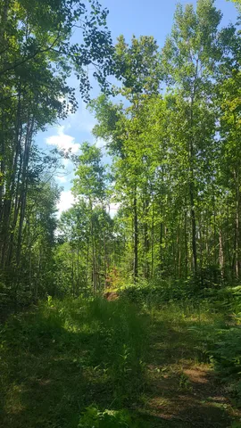 $33,000 | Tri-lakes Rd Oakland Wi 54880 Road, South Range, WI 54874