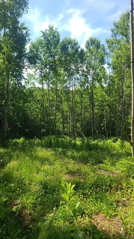 $33,000 | Tri-lakes Rd Oakland Wi 54880 Road, South Range, WI 54874