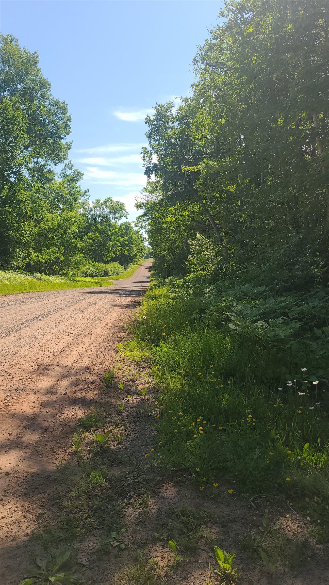 Tri-lakes Rd Oakland Wi 54880 Road South Range, WI 54874 - Photo 5 of 10