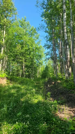 $33,000 | Tri-lakes Rd Oakland Wi 54880 Road, South Range, WI 54874