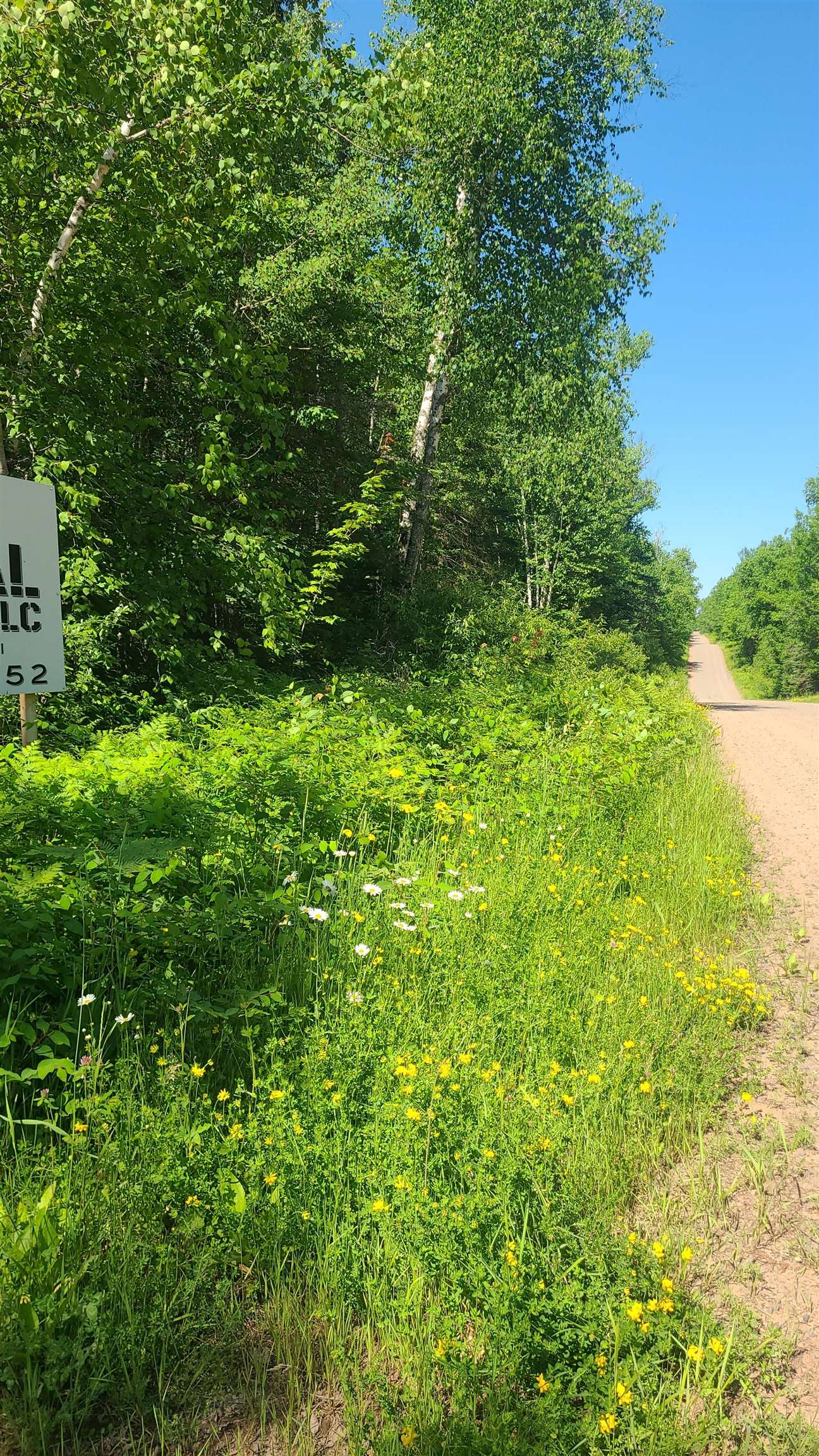 Tri-lakes Rd Oakland Wi 54880 Road South Range, WI 54874 - Photo 7 of 10