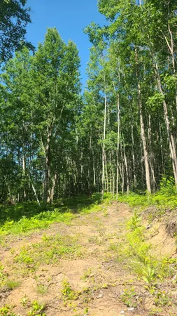 $33,000 | Tri-lakes Rd Oakland Wi 54880 Road, South Range, WI 54874
