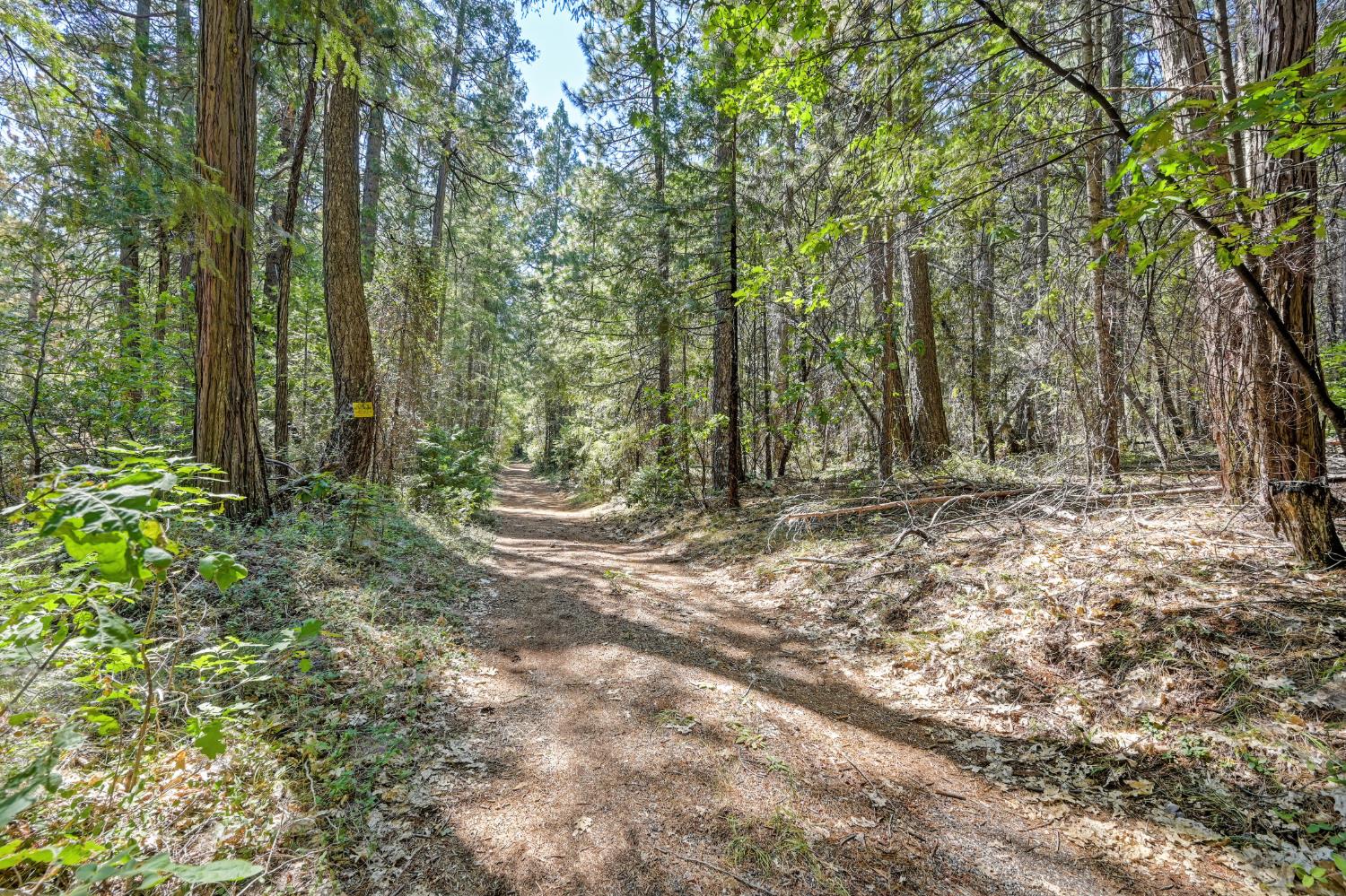 0 Big Dipper Road Colfax, CA 95713 - Photo 11 of 30 Gallery Image 11