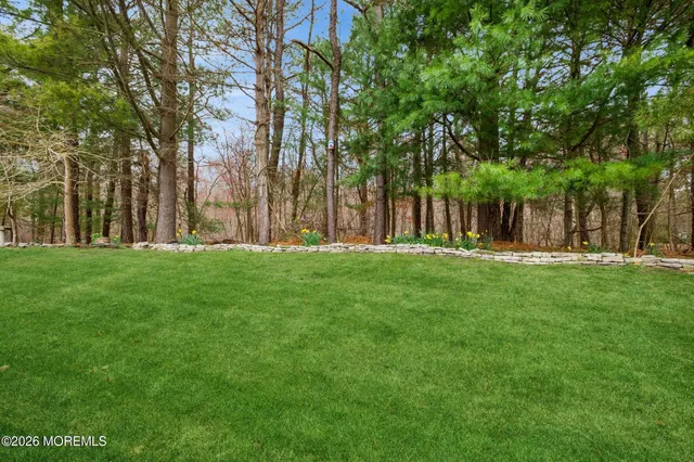 a garden view with trees