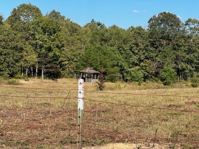 260 Shepard Hills Road Hohenwald, TN 38462 - Photo 21 of 39 Gallery Image 21