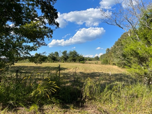 260 Shepard Hills Road Hohenwald, TN 38462 - Photo 25 of 39 Gallery Image 25