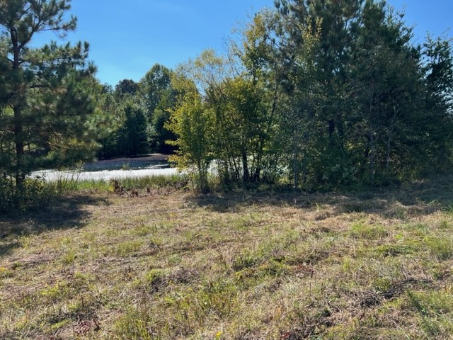 260 Shepard Hills Road Hohenwald, TN 38462 - Photo 33 of 39 Gallery Image 33